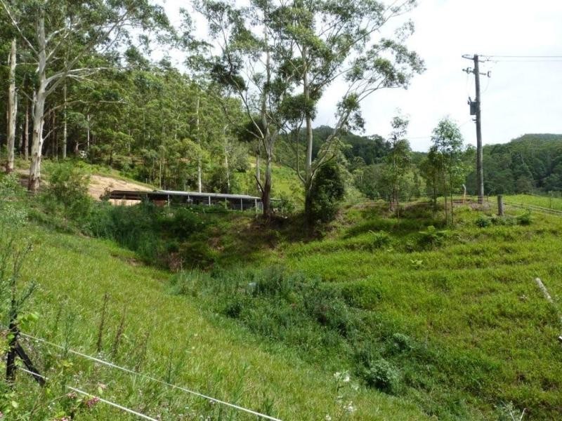 1484 Currumbin Creek Road, Currumbin Valley QLD 4223