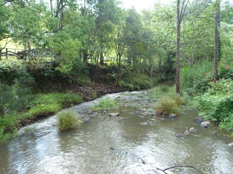 1484 Currumbin Creek Road, Currumbin Valley QLD 4223