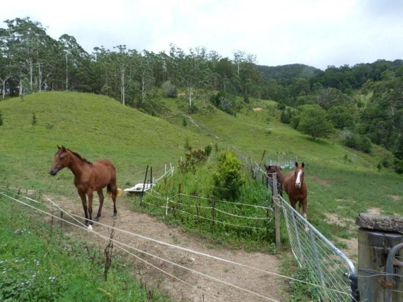 1484 Currumbin Creek Road, Currumbin Valley QLD 4223