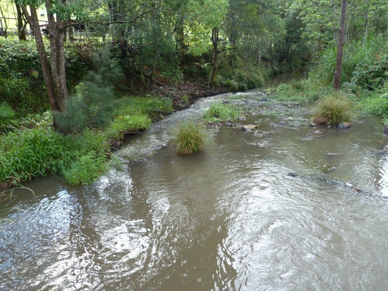 1484 Currumbin Creek Road, Currumbin Valley QLD 4223