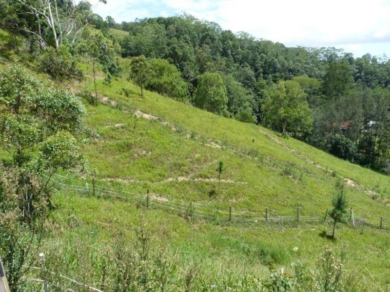 1484 Currumbin Creek Road, Currumbin Valley QLD 4223