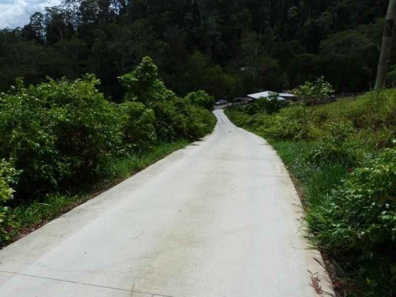 1484 Currumbin Creek Road, Currumbin Valley QLD 4223