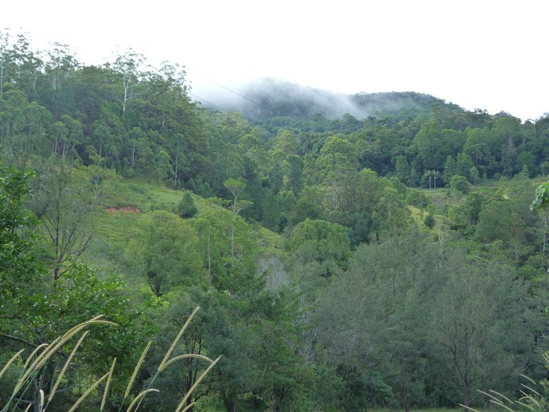 1484 Currumbin Creek Road, Currumbin Valley QLD 4223