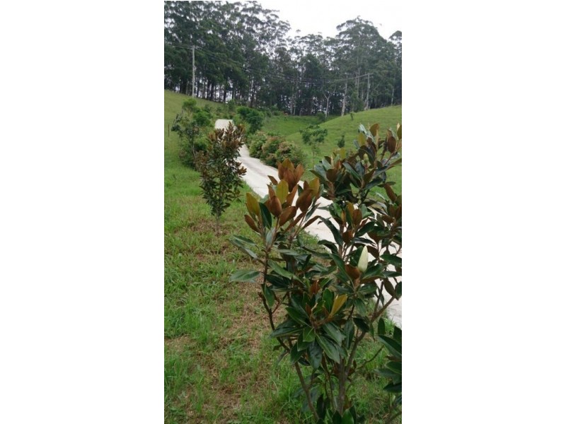 1484 Currumbin Creek Road, Currumbin Valley QLD 4223