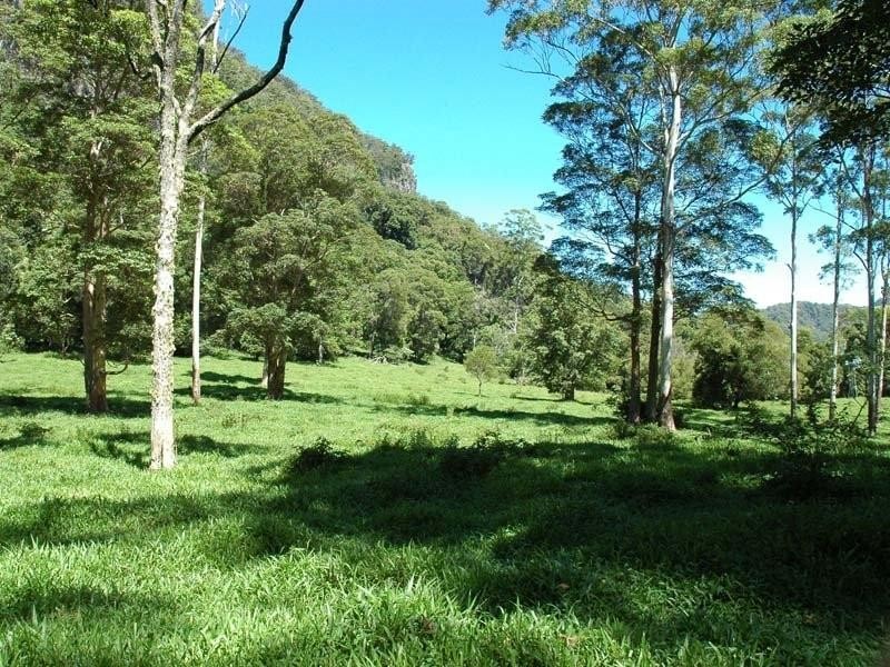 142 Ryans Road, Tallebudgera Valley QLD 4228