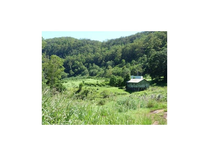 142 Ryans Road, Tallebudgera Valley QLD 4228