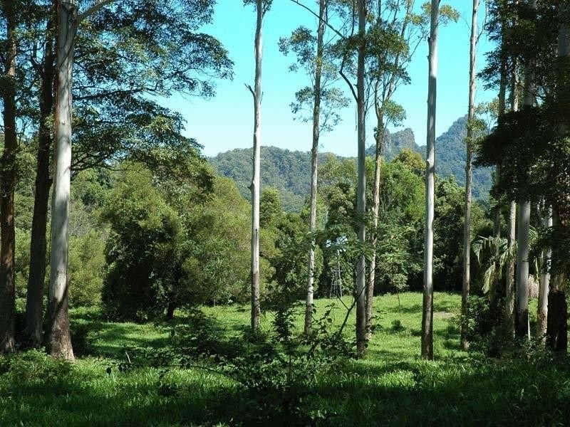 142 Ryans Road, Tallebudgera Valley QLD 4228