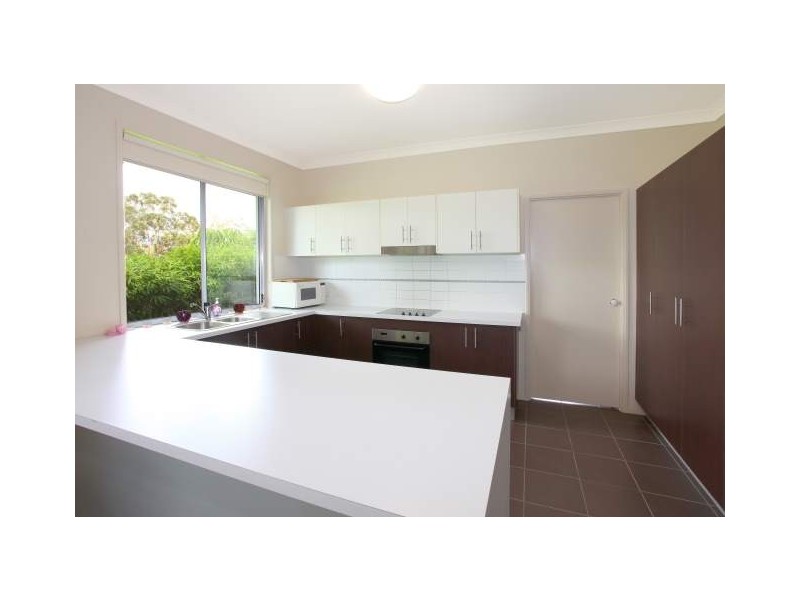 20 Nikau Crescent, Nerang QLD 4211
