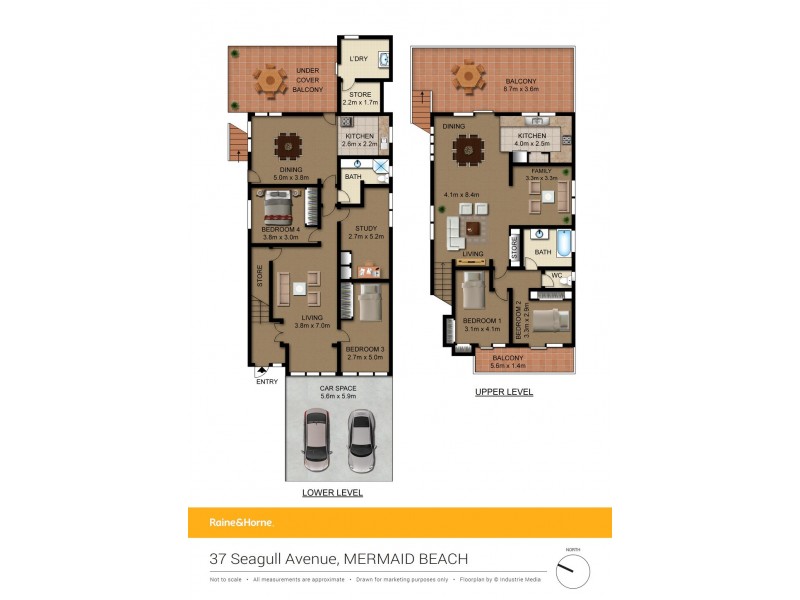 37 Seagull Avenue, Mermaid Beach QLD 4218 Floorplan