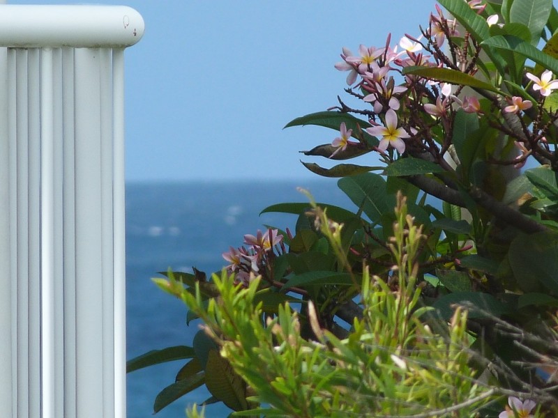 11 Elizabeth Street, Tugun QLD 4224