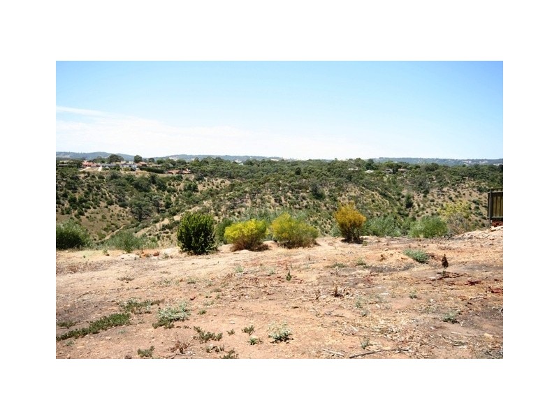 21A Bellavista Road, Flagstaff Hill SA 5159