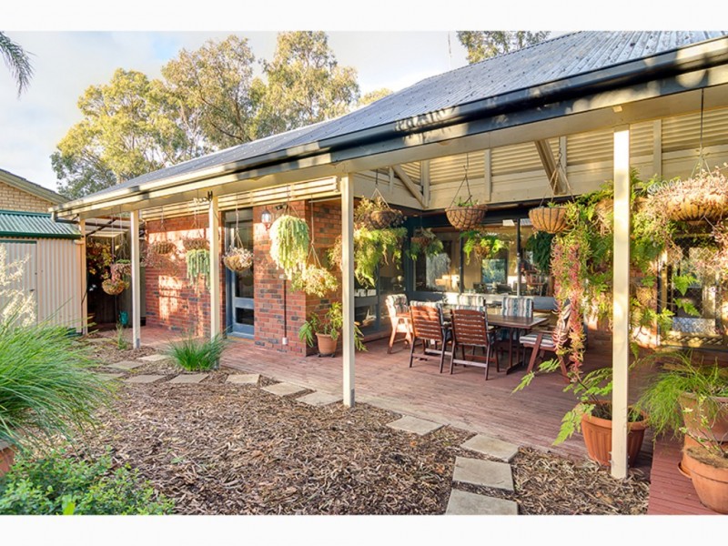 5 Orleana Street, Flagstaff Hill SA 5159