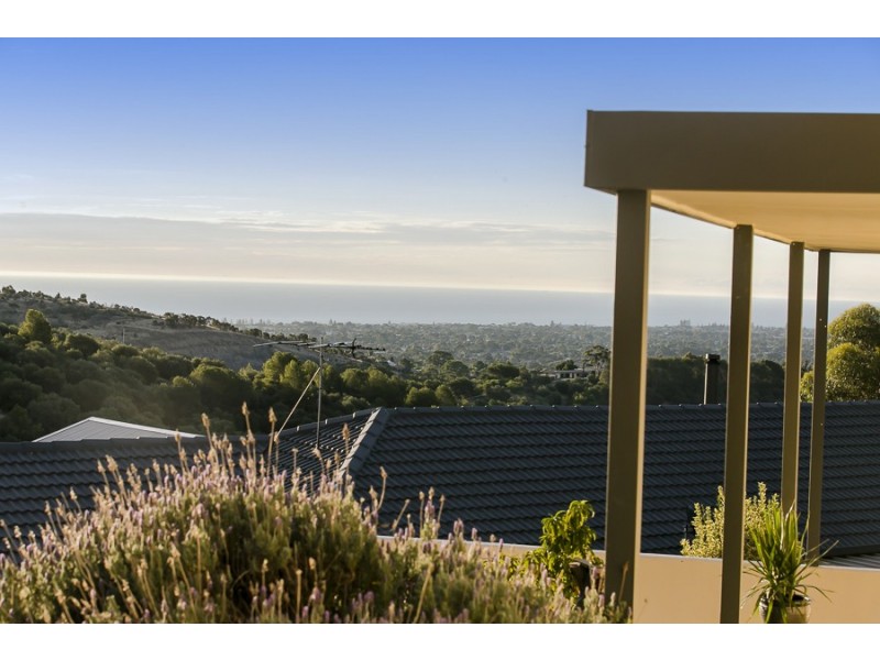 13 Salvador Street, Flagstaff Hill SA 5159