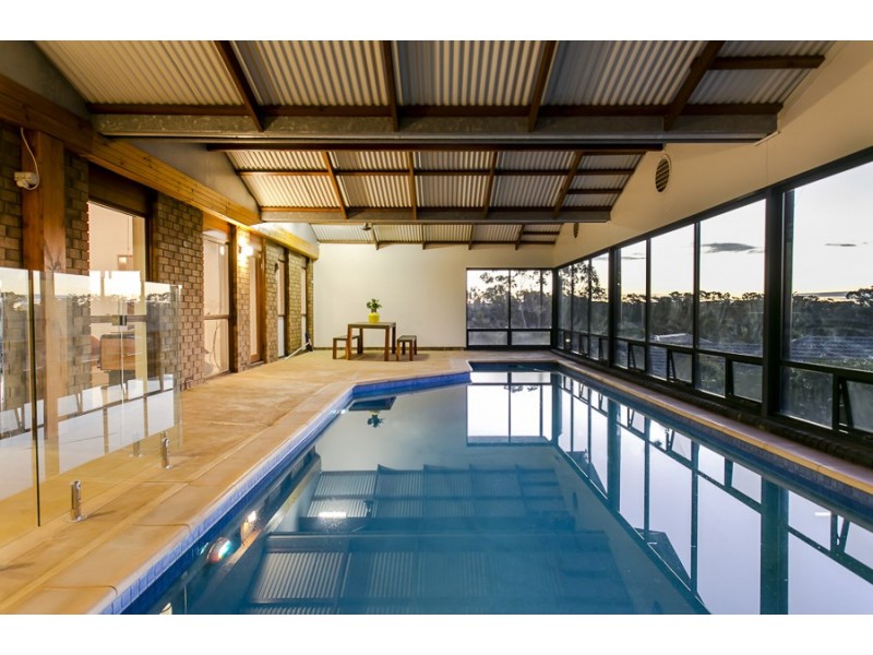 13 Salvador Street, Flagstaff Hill SA 5159