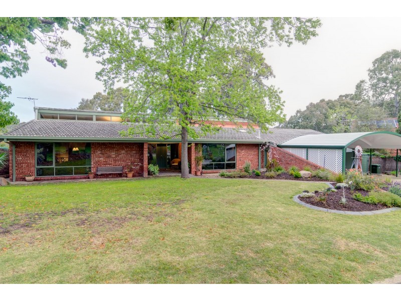 19 Lulworth Place, Flagstaff Hill SA 5159