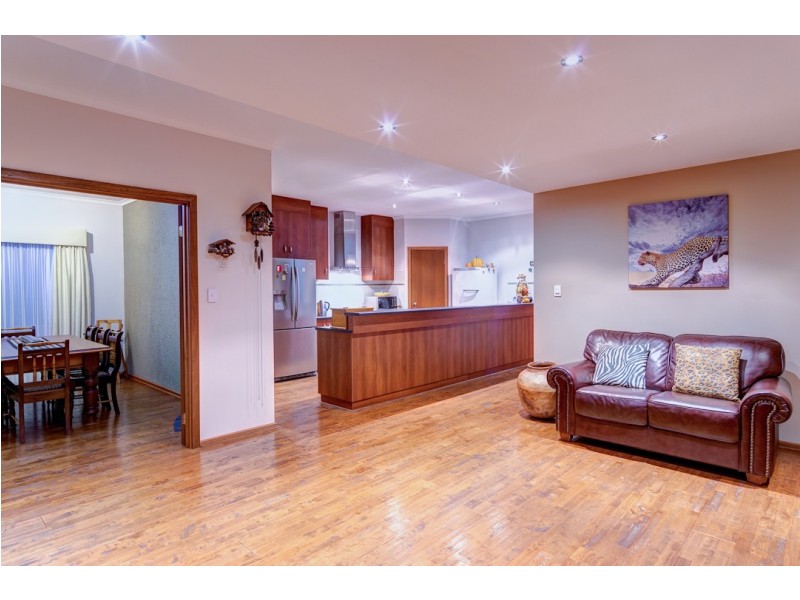 18 Coulter Street, Flagstaff Hill SA 5159