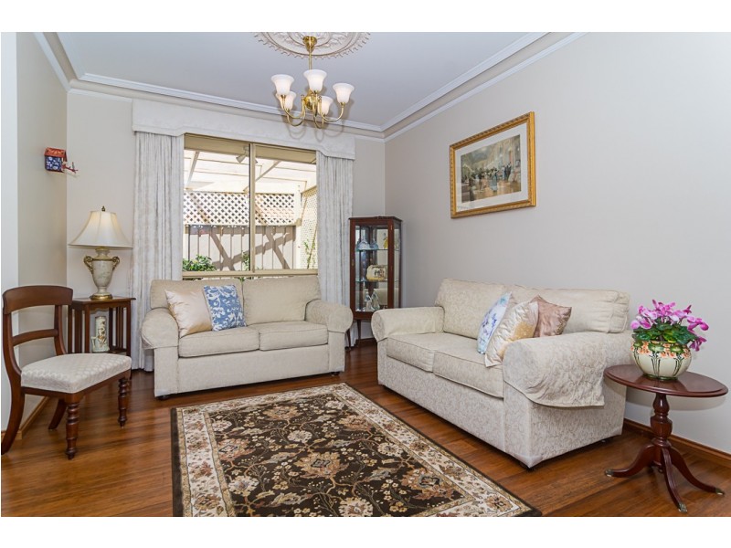 3 Triller Place, Flagstaff Hill SA 5159