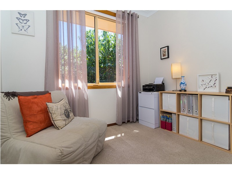 3 Triller Place, Flagstaff Hill SA 5159