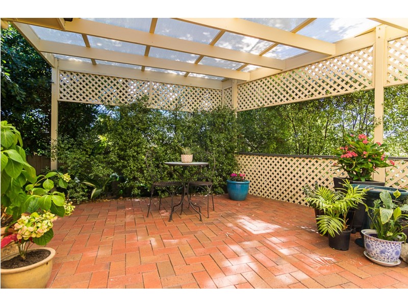 3 Triller Place, Flagstaff Hill SA 5159