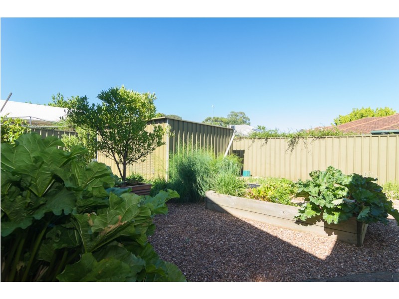 8 Flora Court, Flagstaff Hill SA 5159