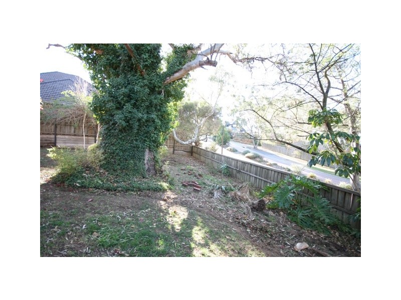 8 PETREL COURT, Flagstaff Hill SA 5159