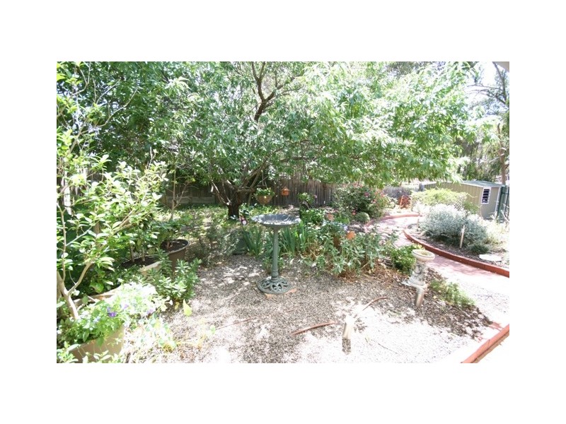 19 PROCTOR STREET, Flagstaff Hill SA 5159