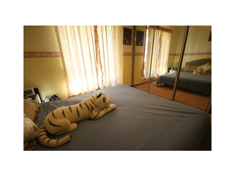 13 Abberton Street, Flagstaff Hill SA 5159