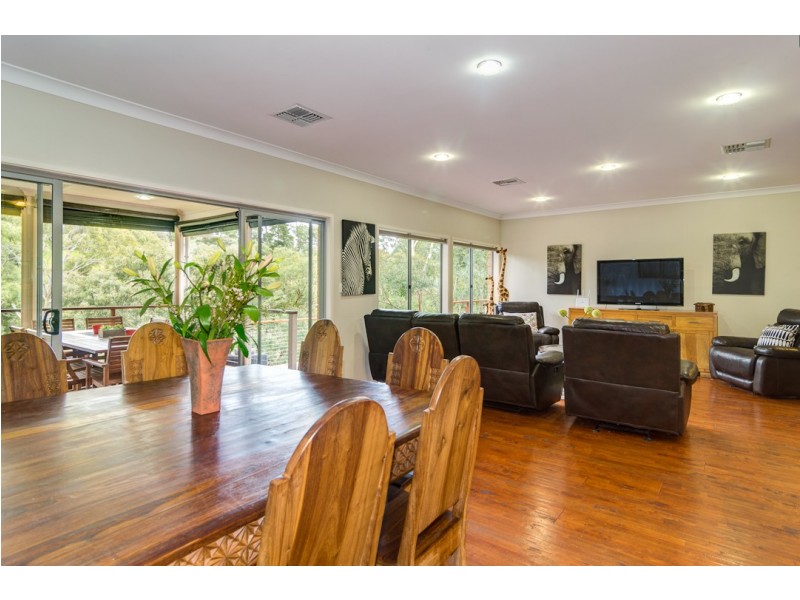 16 Salvador Street, Flagstaff Hill SA 5159