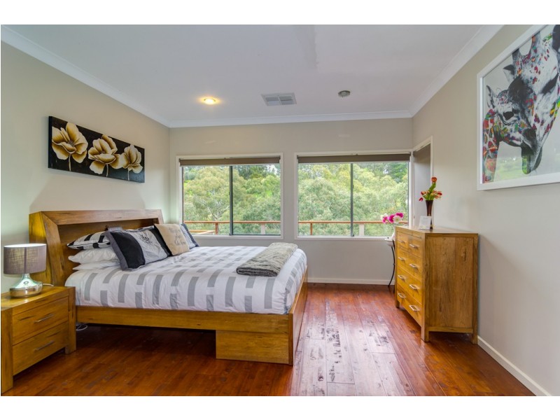 16 Salvador Street, Flagstaff Hill SA 5159