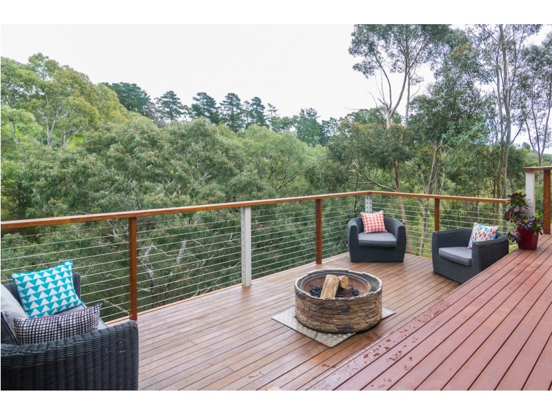 16 Salvador Street, Flagstaff Hill SA 5159