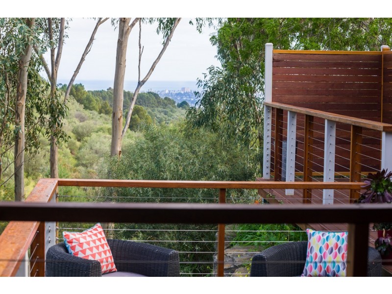 16 Salvador Street, Flagstaff Hill SA 5159