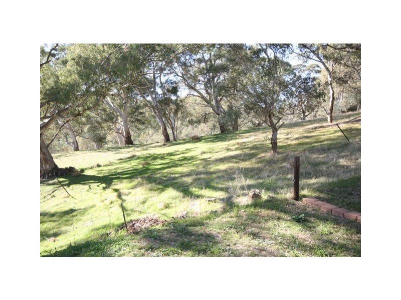 7 Jacaranda Place, Aberfoyle Park SA 5159