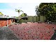 1 Sarepta Court, Flagstaff Hill SA 5159