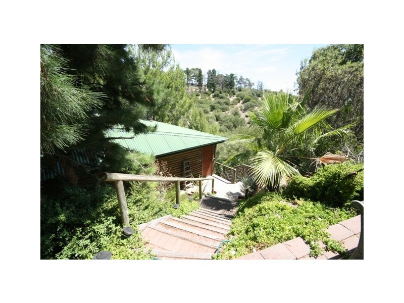 12 SALVADOR STREET, Flagstaff Hill SA 5159