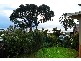 17 ALBERT STREET, Seacliff Park SA 5049