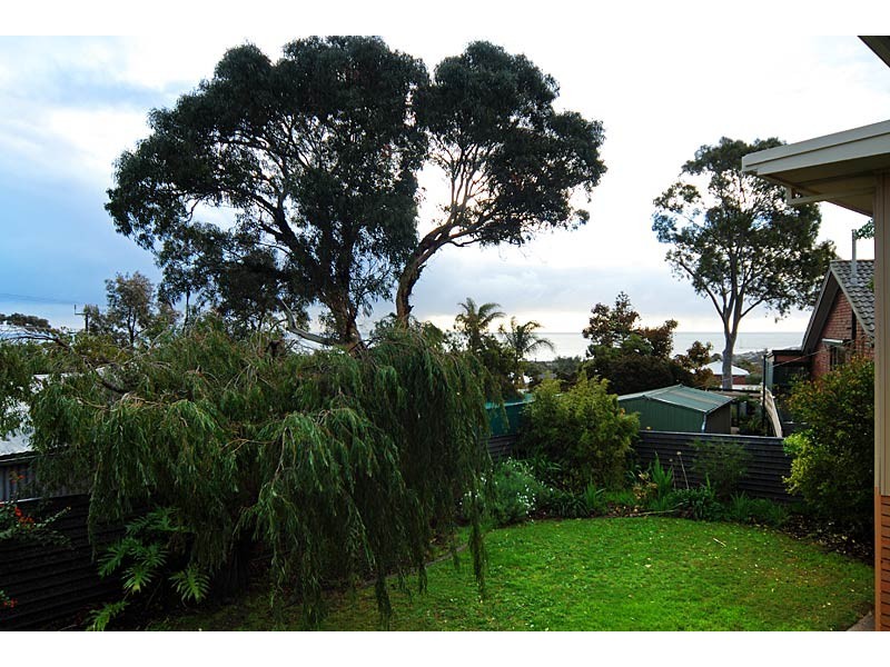 17 ALBERT STREET, Seacliff Park SA 5049