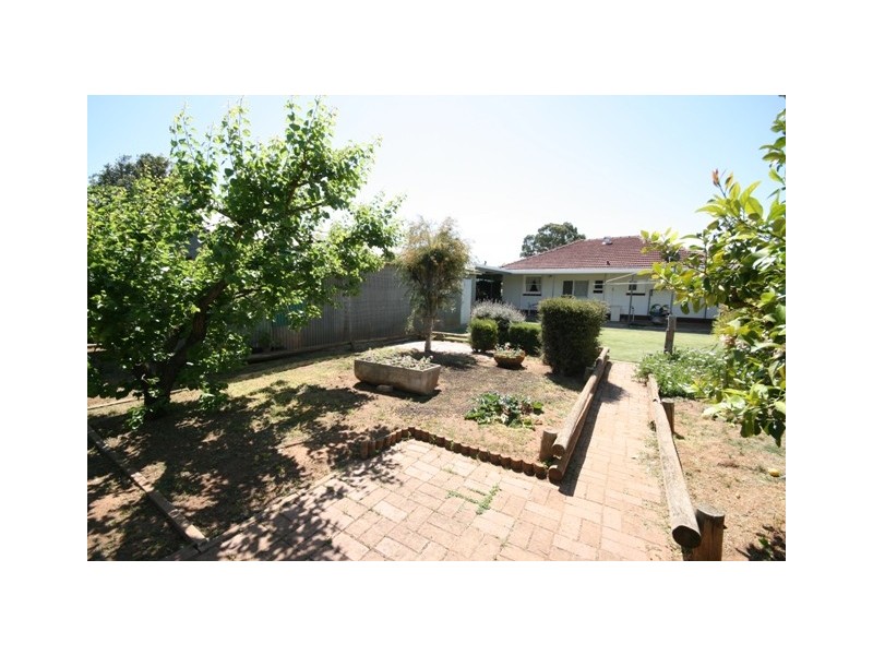 135 Kingston Avenue, Melrose Park SA 5039