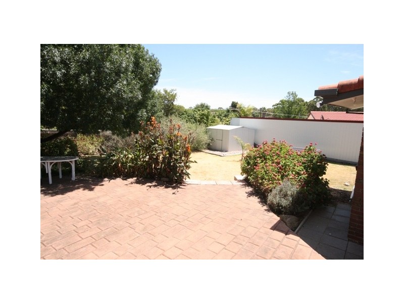 6 Corsair Street, Flagstaff Hill SA 5159