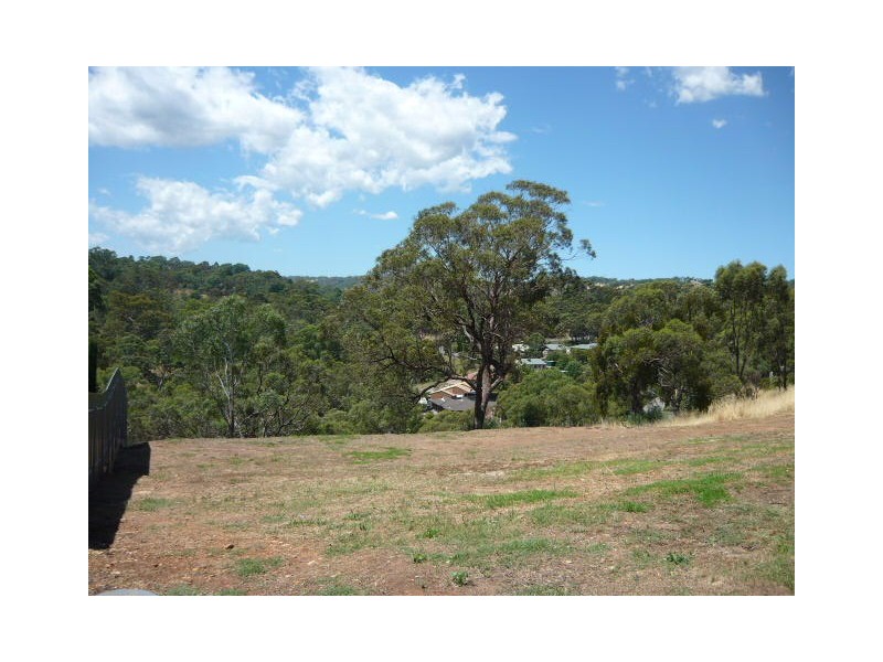 101 Glendale Avenue, Flagstaff Hill SA 5159