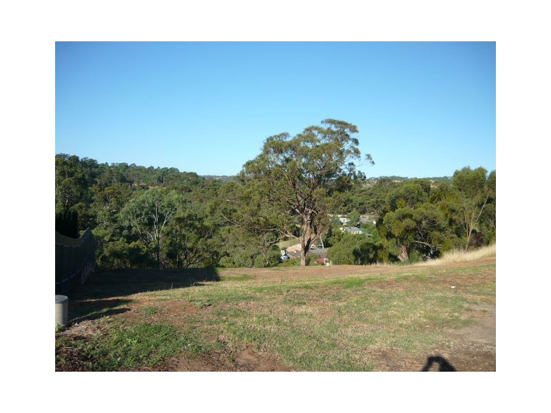 101 Glendale Avenue, Flagstaff Hill SA 5159