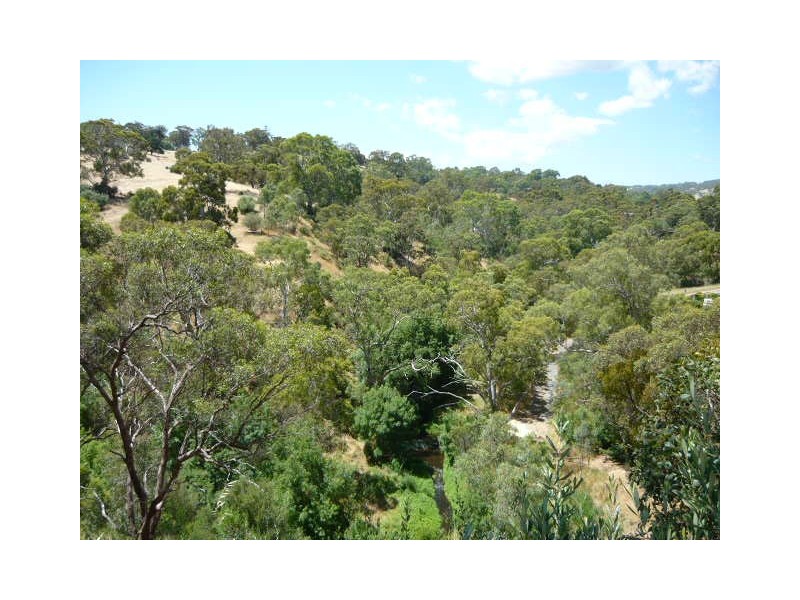 101 Glendale Avenue, Flagstaff Hill SA 5159