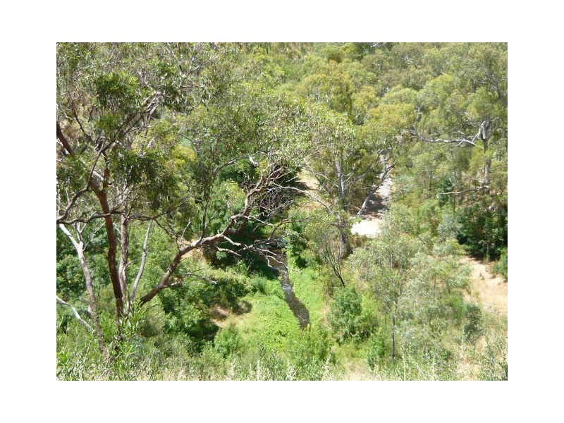 101 Glendale Avenue, Flagstaff Hill SA 5159