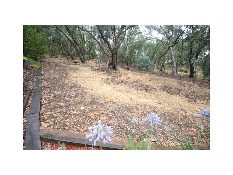 6 Ash Court, Belair SA 5052