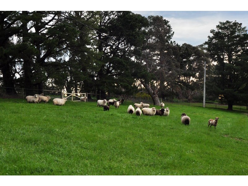 581 Cherry Gardens Road, Cherry Gardens SA 5157