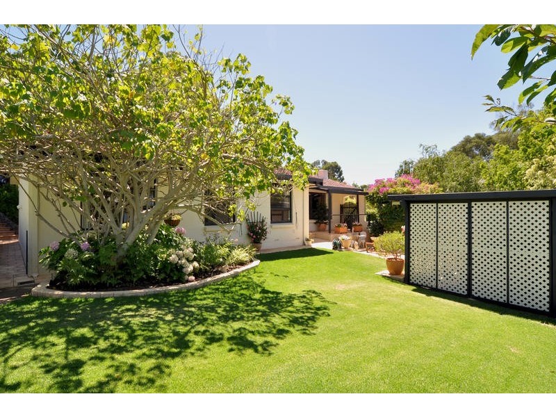 16 Goldsack Avenue, Coromandel Valley SA 5051