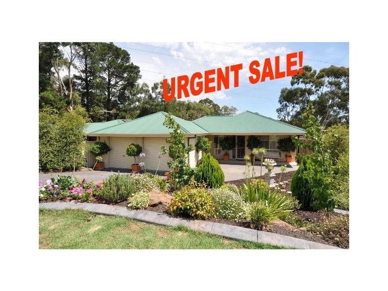 70 Tania Drive, Aberfoyle Park SA 5159