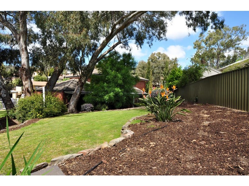 6 Woodland Grove, Aberfoyle Park SA 5159
