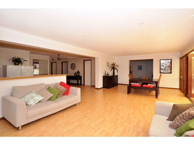 17 Proctor Street, Flagstaff Hill SA 5159