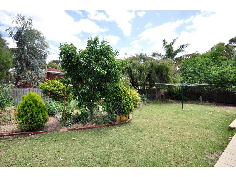 17 Proctor Street, Flagstaff Hill SA 5159