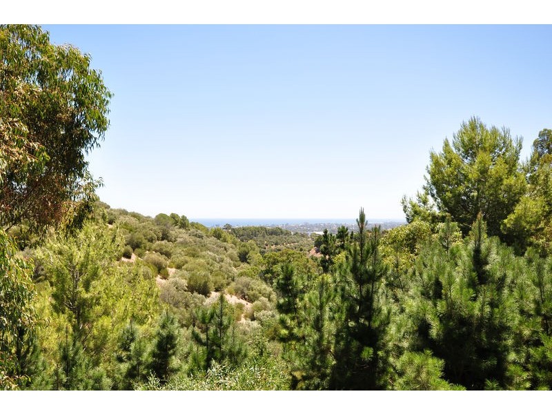 14 Salvador Street, Flagstaff Hill SA 5159